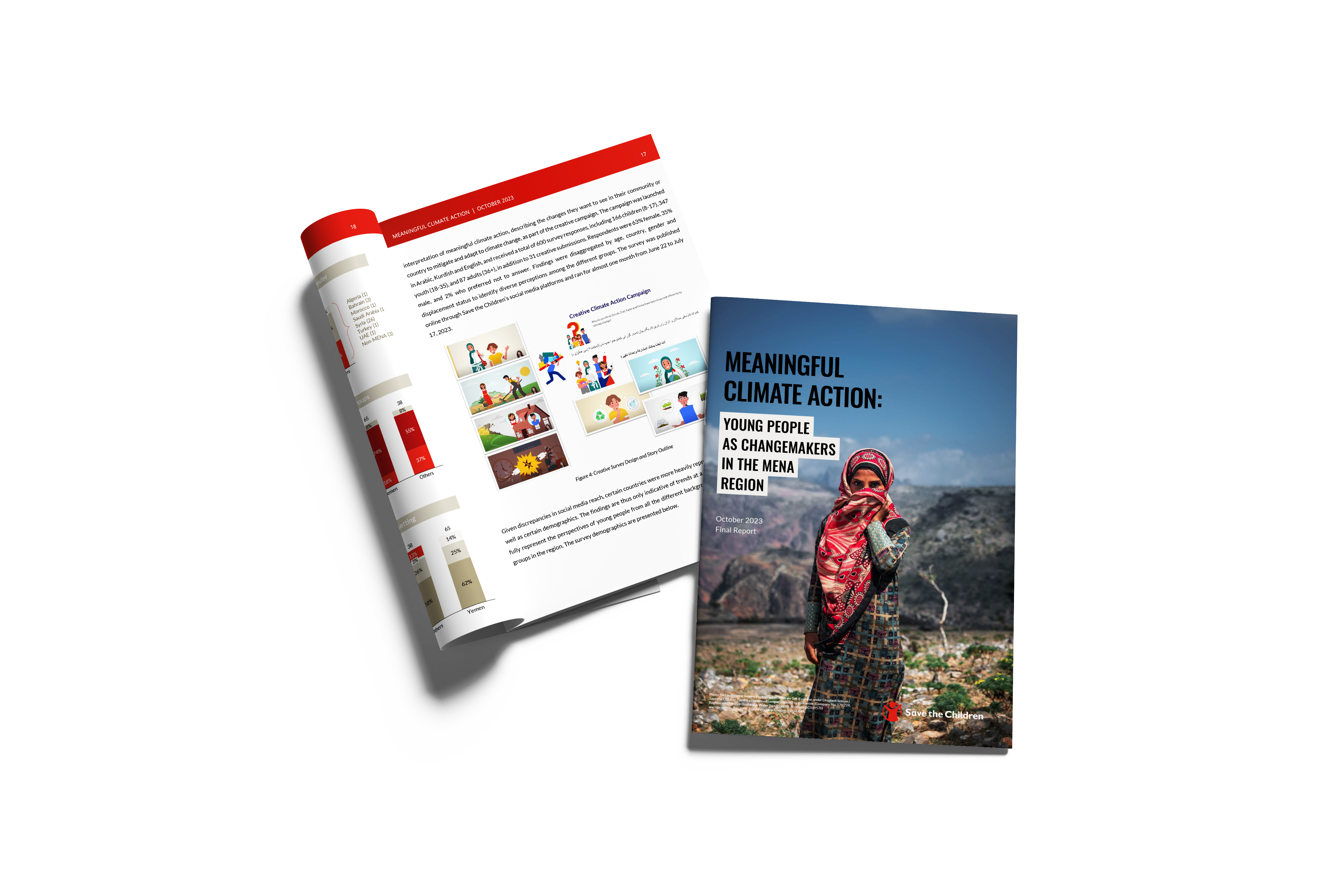 Meaningful Climate Action: MENA