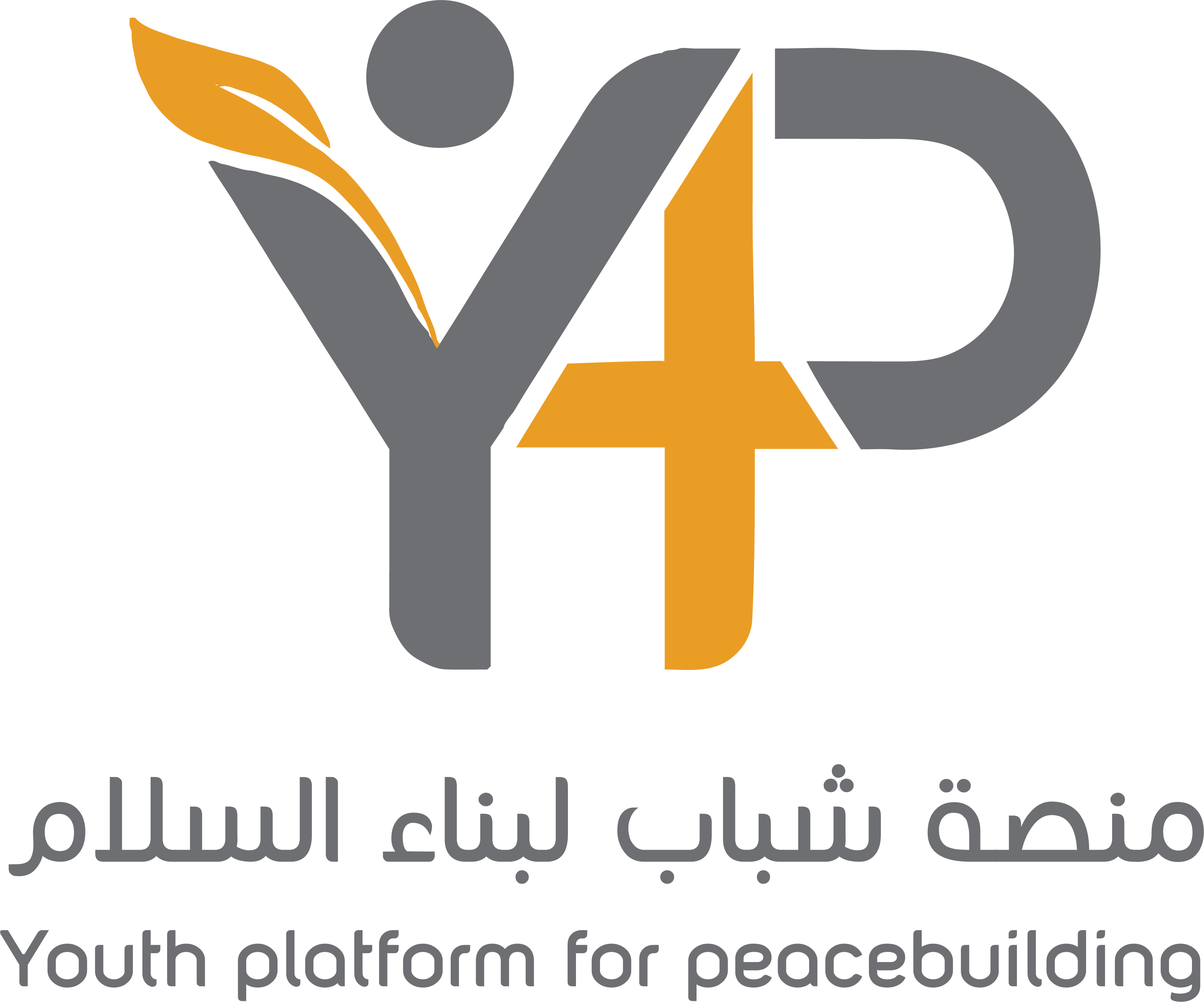 Youth Platform for Peacebuilding