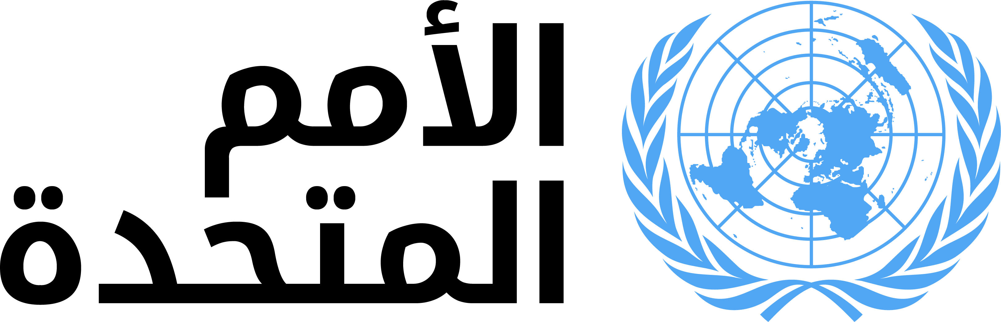 Yemeni Women’s Technical Advisory Group – OSESGY